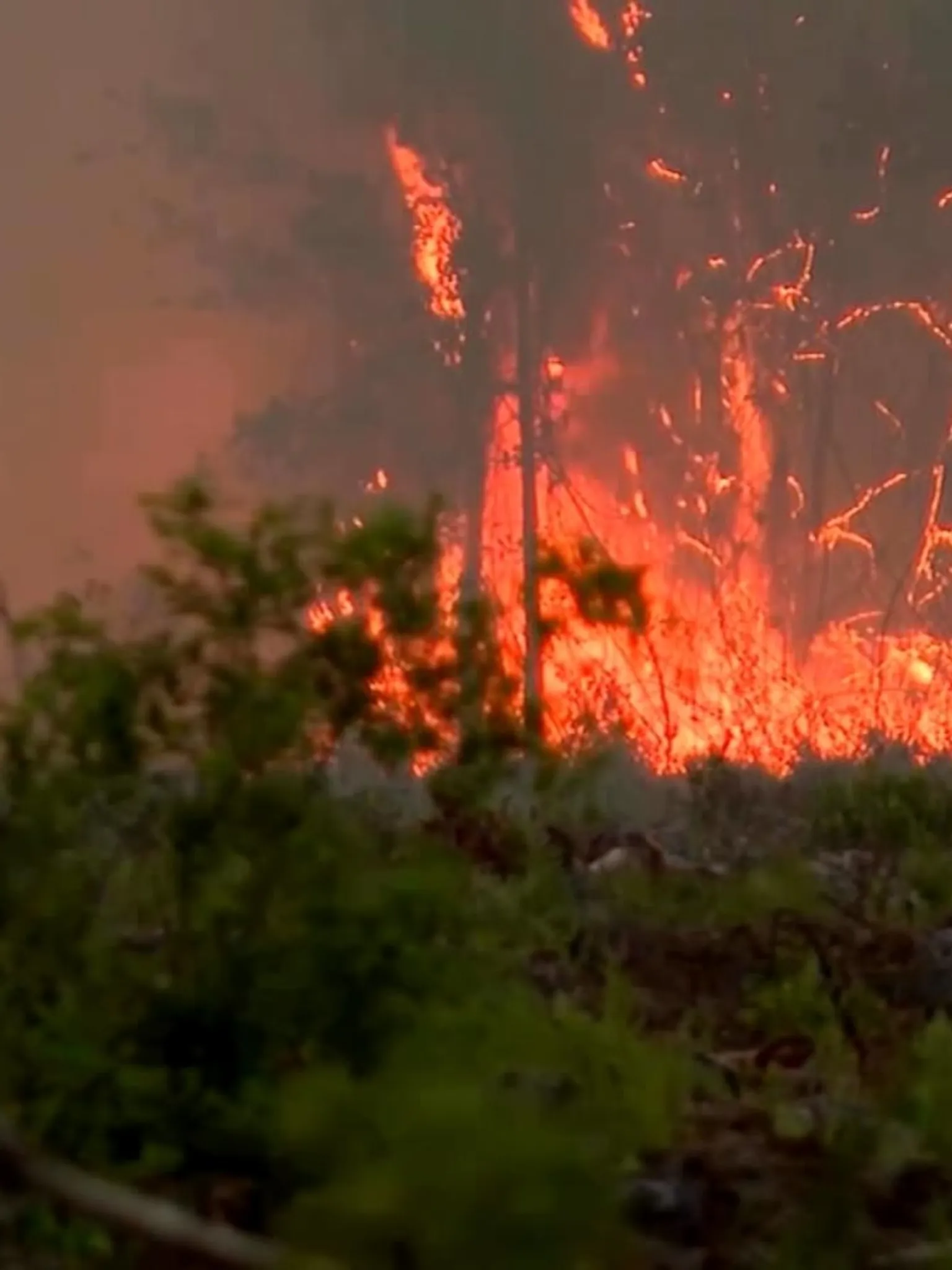 Archived image accompanying: Georgia and Florida Battle Massive Wildfires That Destroy 50+ Homes Amid Drought