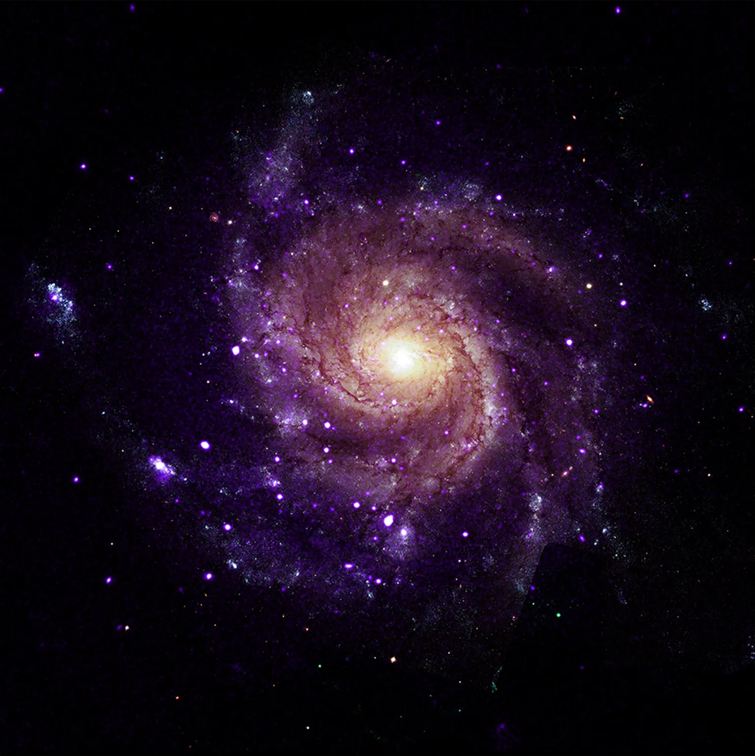 Composite image of the face-on spiral galaxy M101, with purple X-ray data and a golden central core; seven newly identified hypersoft X-ray sources lie among the specks of light.
