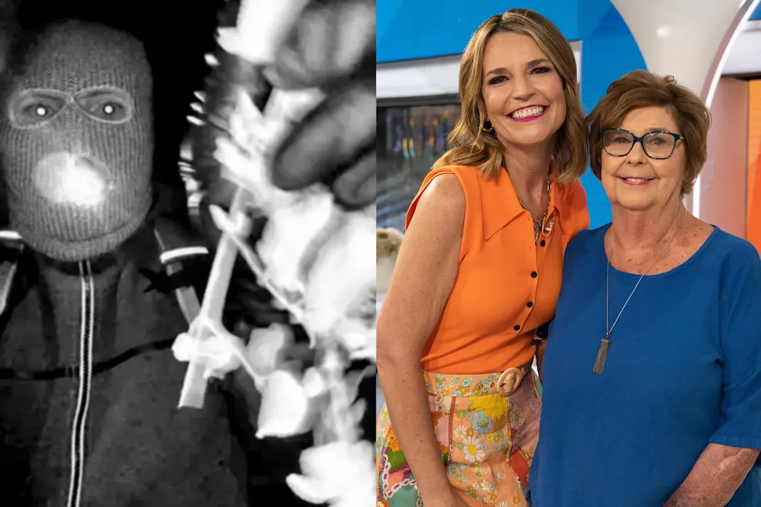 Archived image accompanying: FBI Doubles Reward as Arizona Man Released in Savannah Guthrie’s Mom Case