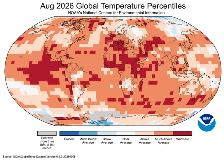 Map showing global temperature percentiles for August 2026, with most regions shaded above average and the warmest areas in dark red.